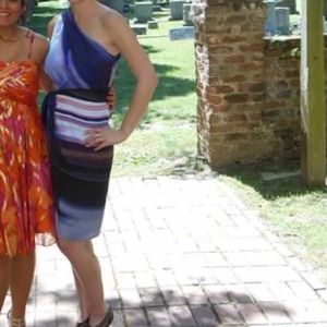 Rachel by Rachel Roy dress